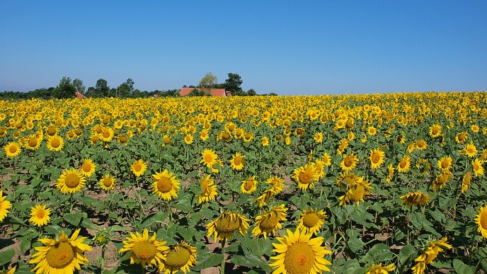 Digitalizacija agrara